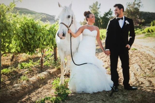 Beautiful Bride and Groom!