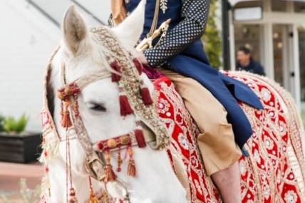 Daisy doing a Baraat