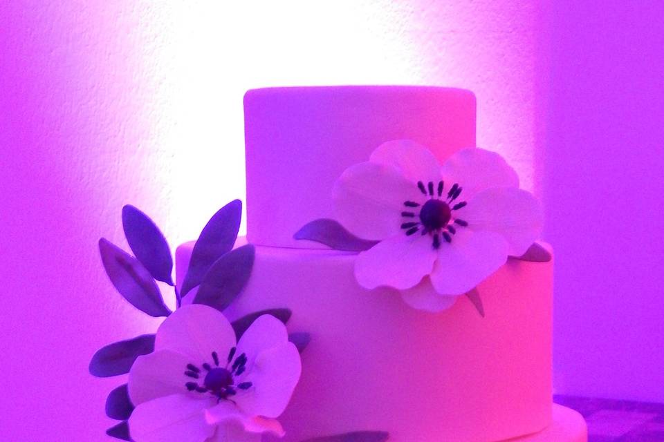 Sugar Flower Fondant Cake