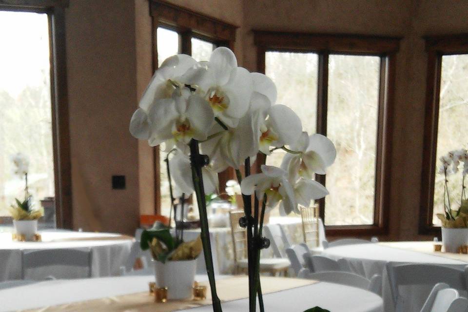Orchids at a White & Gold Wedding Reception, 2015. Rental items from Lake Party Rentals, Lake of the Ozarks, MO.