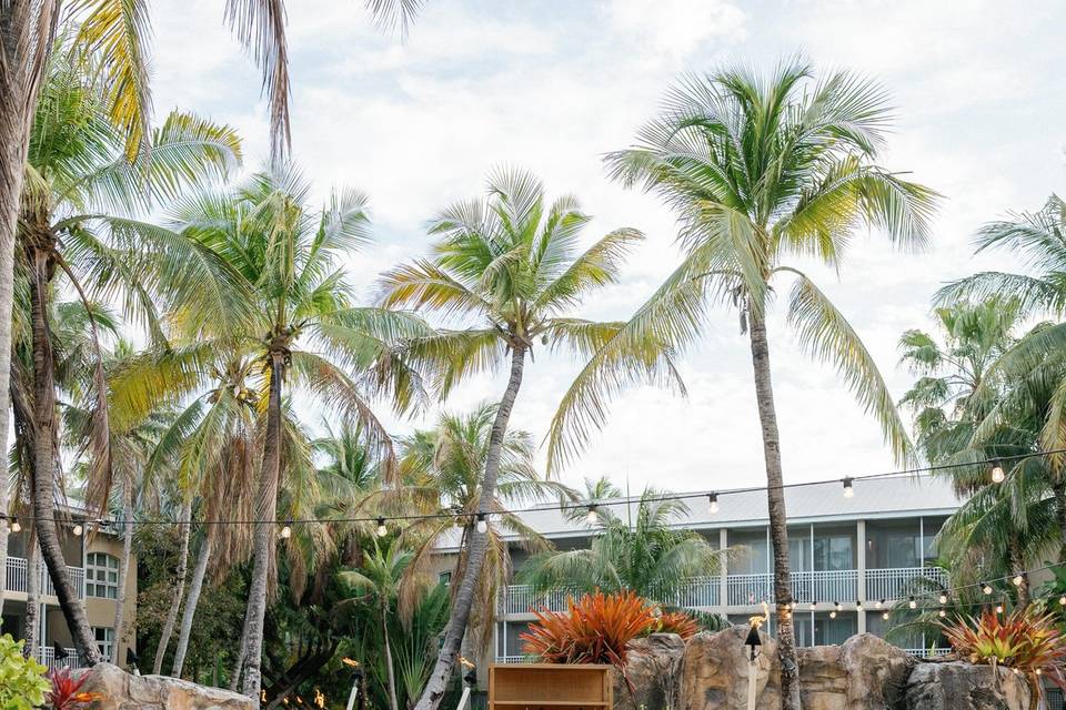 Spa Island