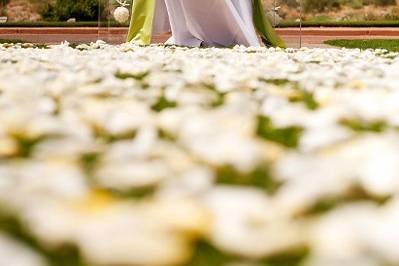 Petal aisle to the altar