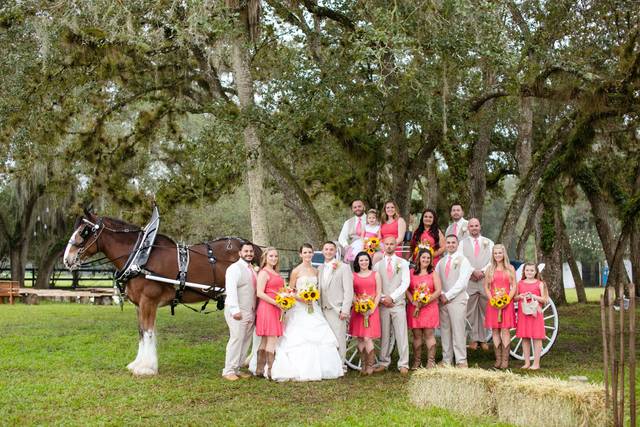 Whispering Pines Clydesdales