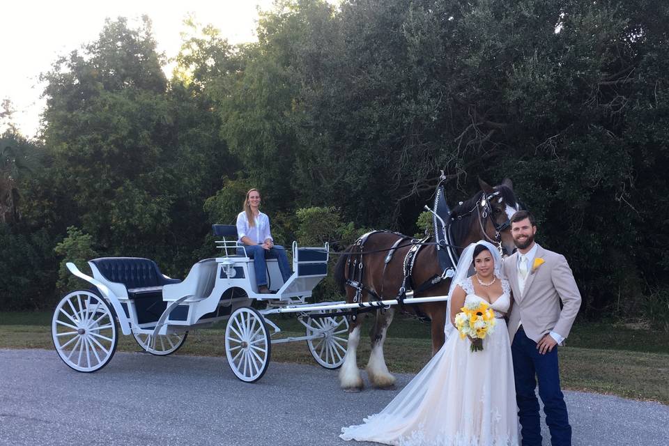 Carriage on the road