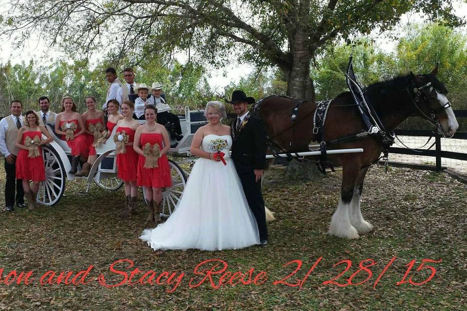 Whispering Pines Clydesdales