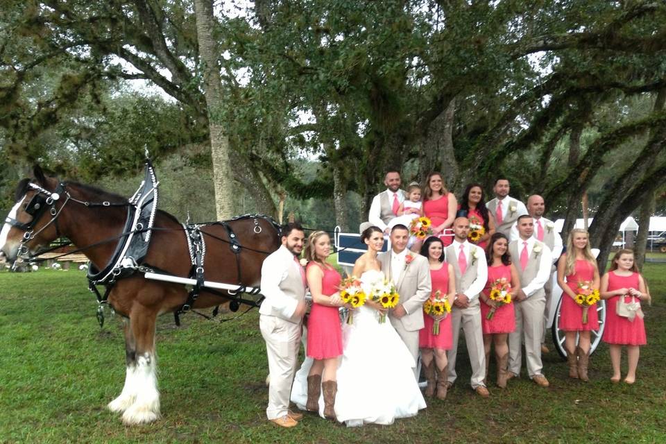 Whispering Pines Clydesdales