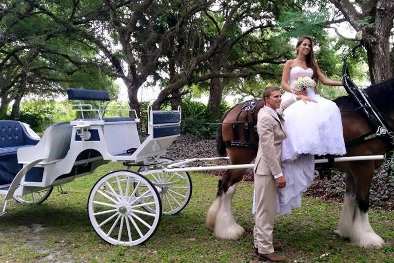Bride riding the horse