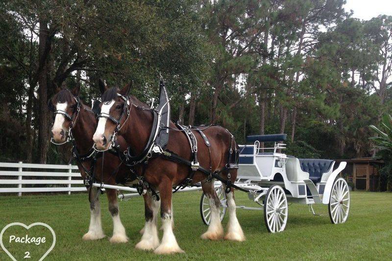 Whispering Pines Clydesdales