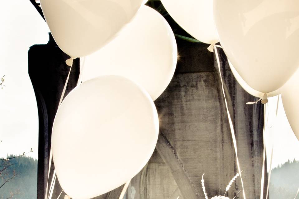 Lindsey Rickert Photography
