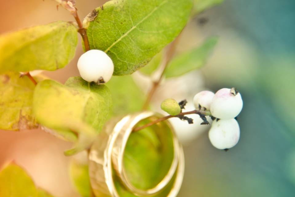 Lindsey Rickert Photography