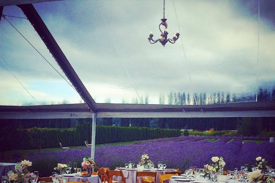 Gorgeous outdoor reception at lavender farm in Washington, coordinated by Carolina Love Events.