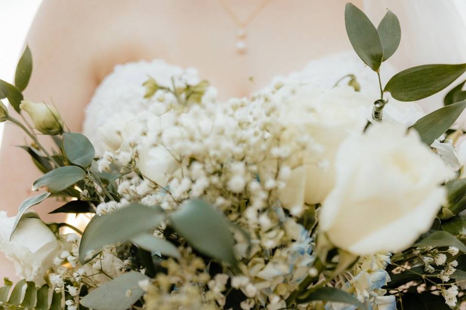 Winchester KY Photographers