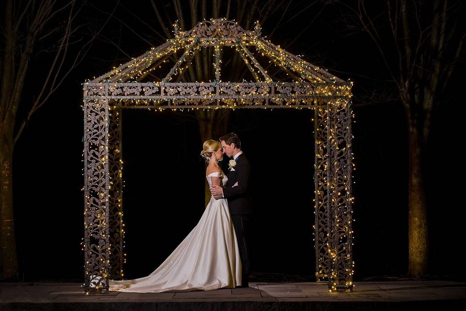 Twinkling Trellis