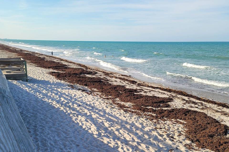 Time for a BEACH WEDDING