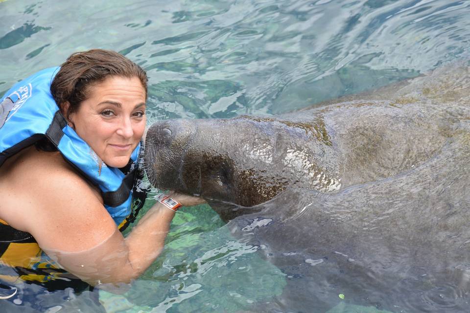 More manatee love!