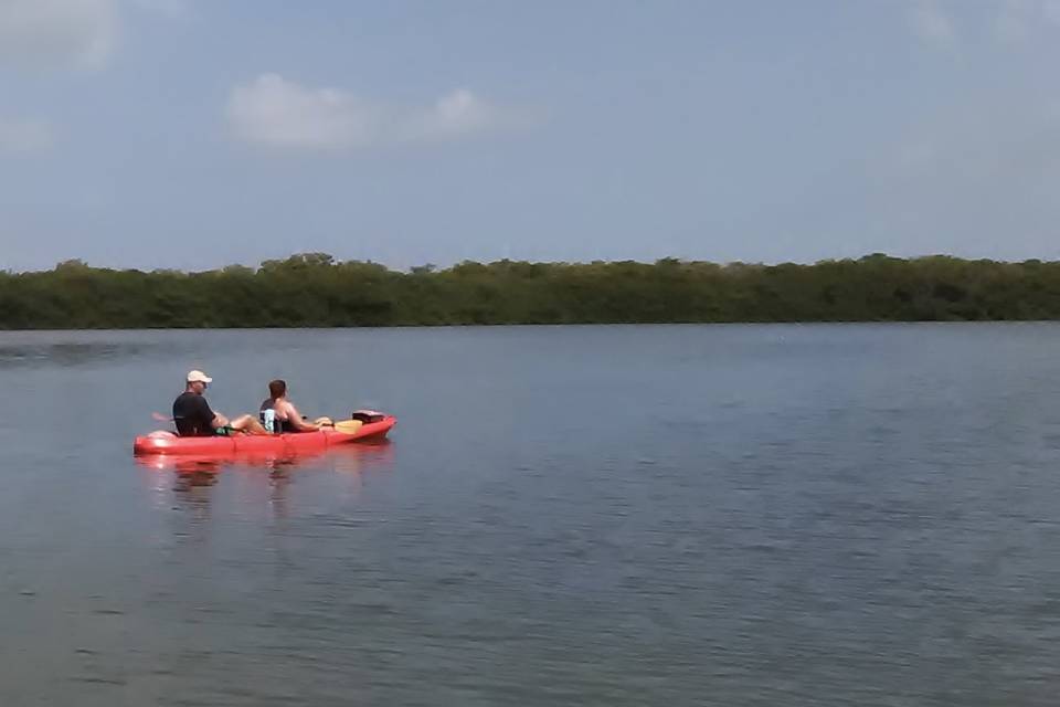 Kayaking in the florida keys