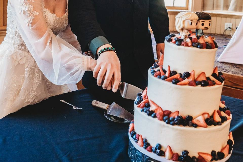 Cake Cutting