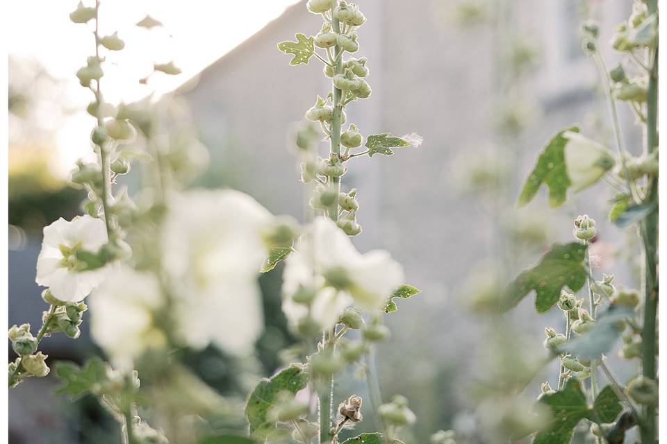Amy Simkus Photography