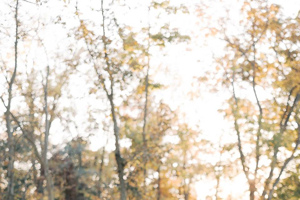 Amy Simkus Photography