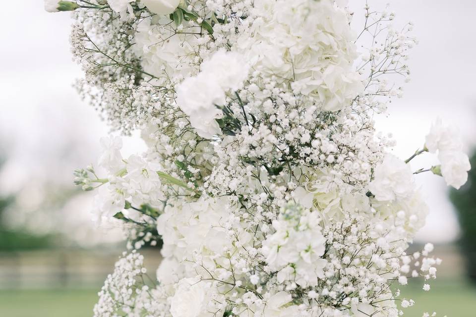 Amy Simkus Photography