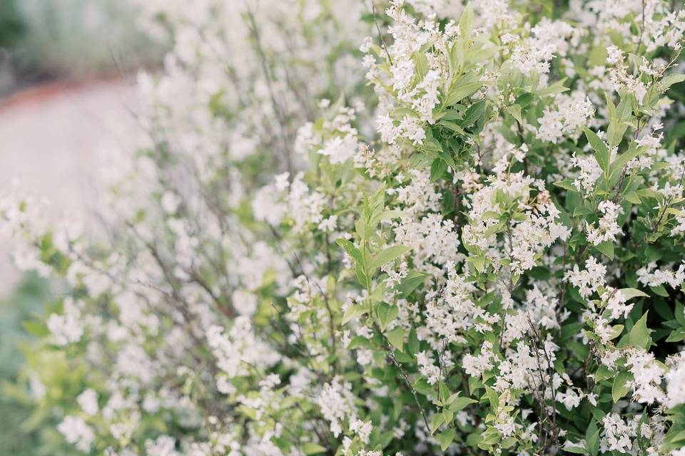Amy Simkus Photography