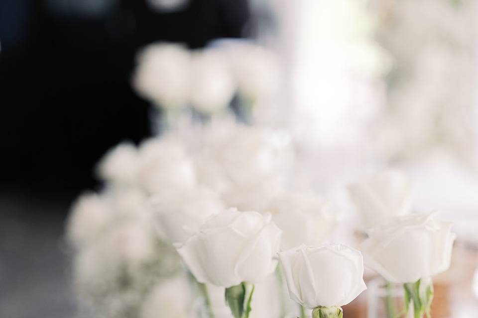 Amy Simkus Photography