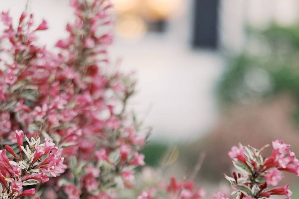 Amy Simkus Photography