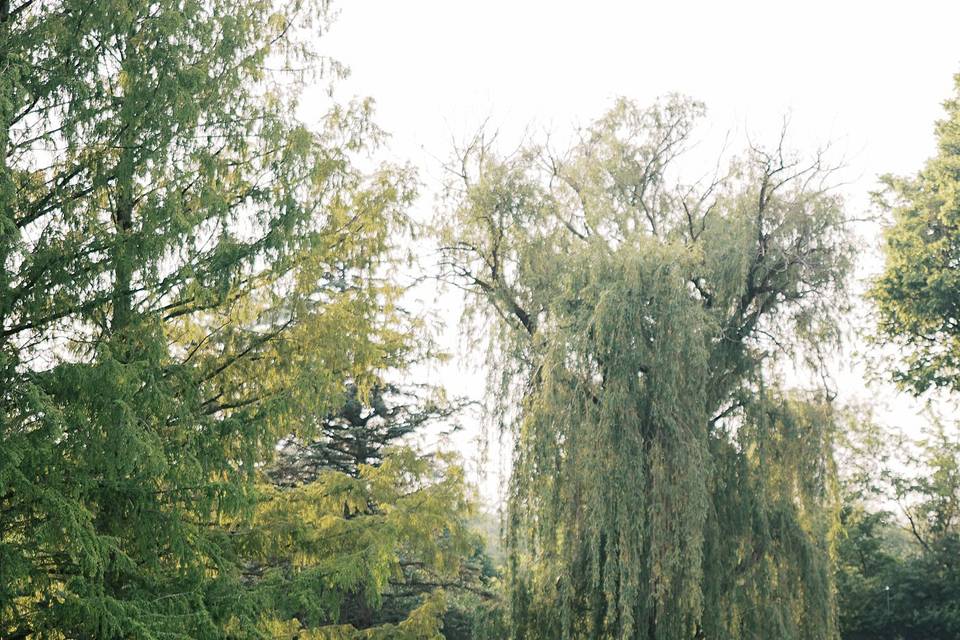 Amy Simkus Photography