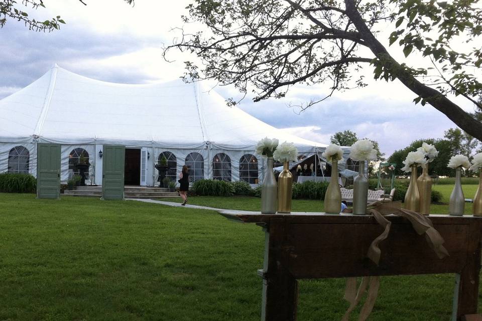 Wedding at Canvas Tent