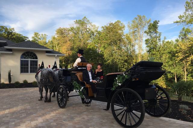 Black 6 passenger carriage