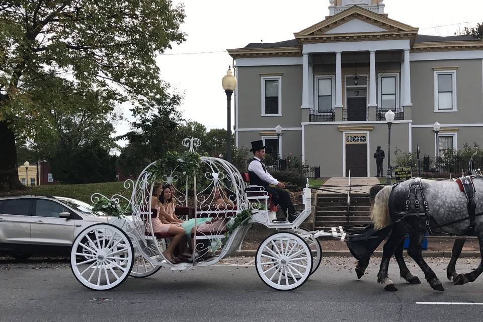 Carolina Carriage Company - Transportation - Hickory, NC - WeddingWire