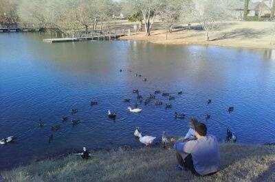 Mills Pond in North Austin