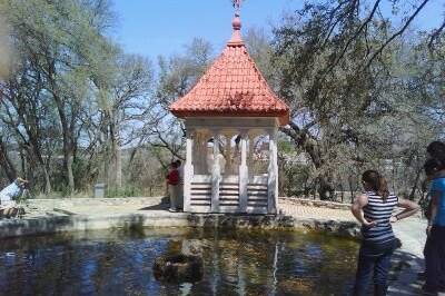 Rev. Vikki Tippins - Austin's Awesome Wedding Officiant