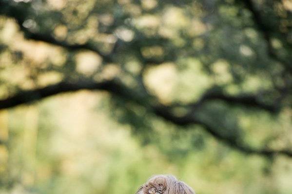 Rev. Vikki Tippins - Austin's Awesome Wedding Officiant