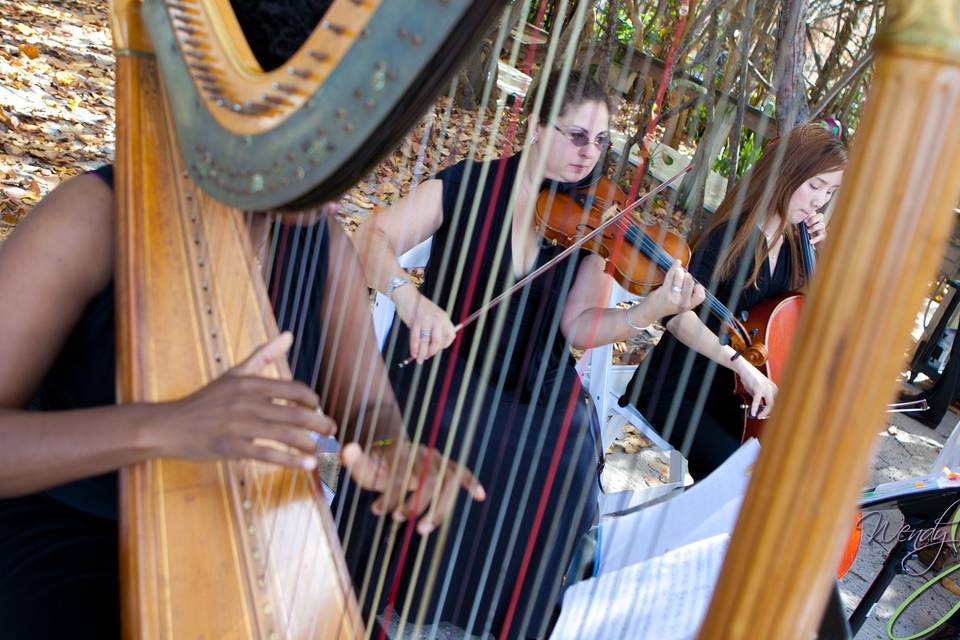 Harp Trio