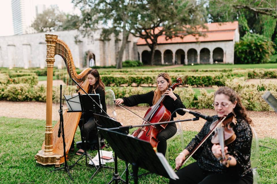 Harp Trio