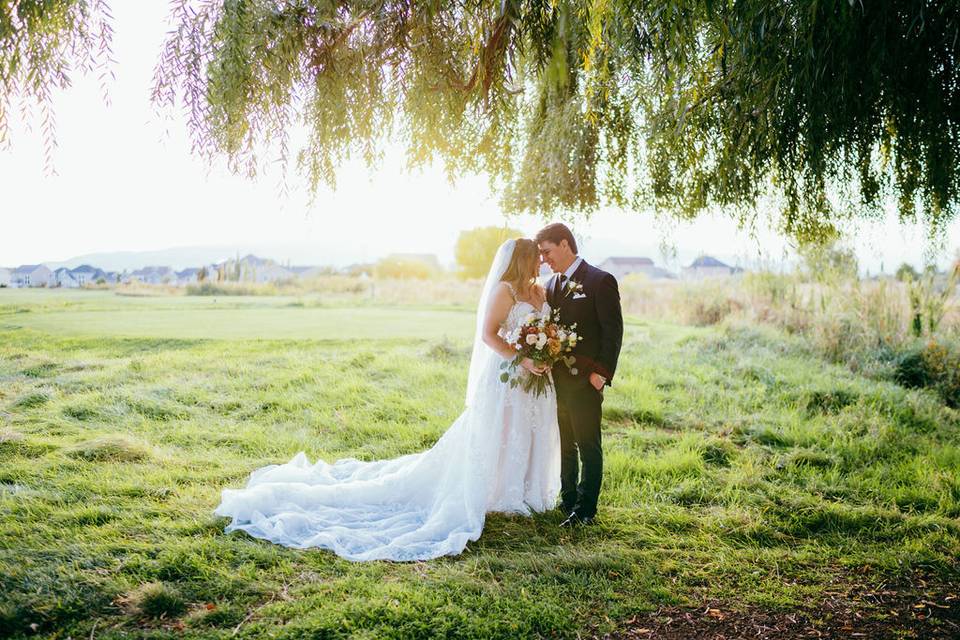 Under the Willow Tree