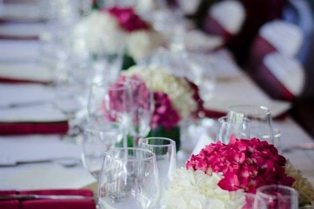 Simply Elegant Weddings & Events