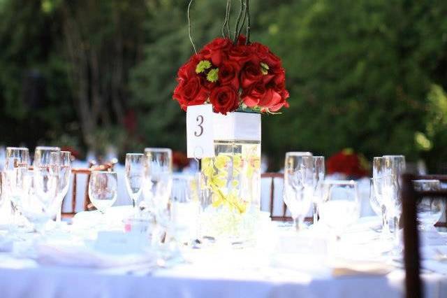 Simply Elegant Weddings & Events