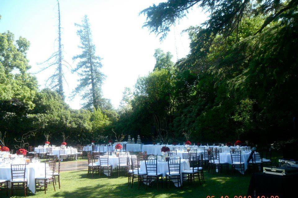 Simply Elegant Weddings & Events