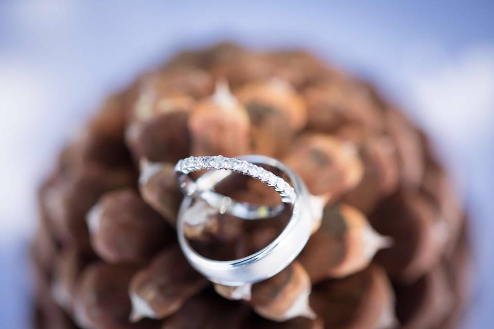 Rings set on top of a pinecone