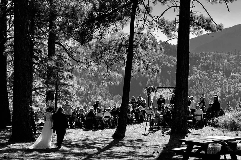 Ceremony in the Woods