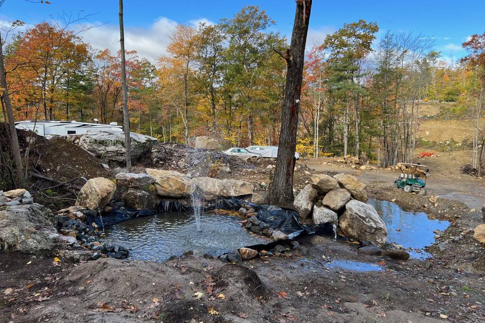 Natural forestry at the grove