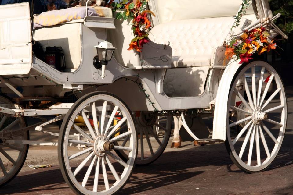 Add a carriage ride