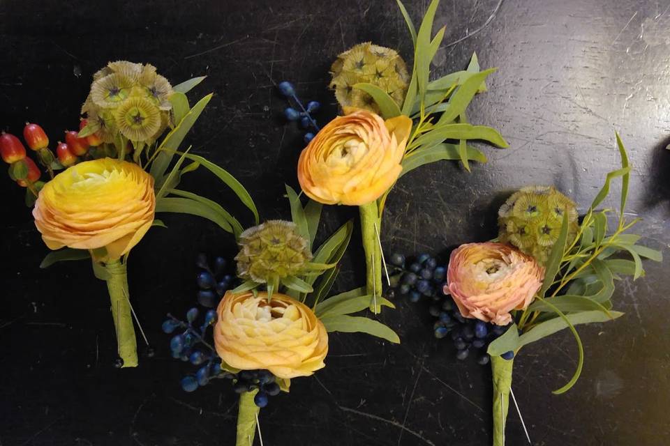 Bouts with Scabiosa Pods