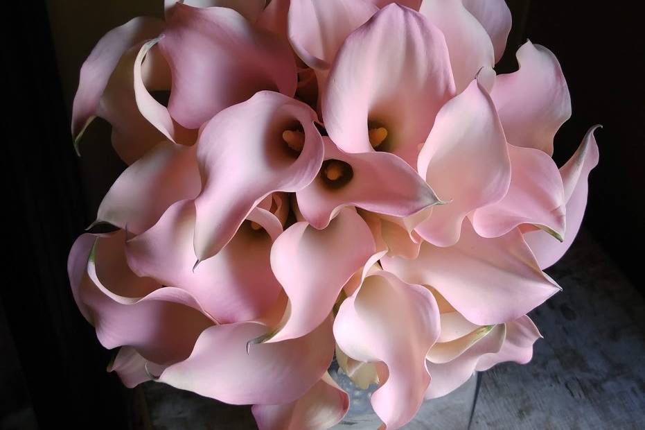 Calla Lily Bouquet