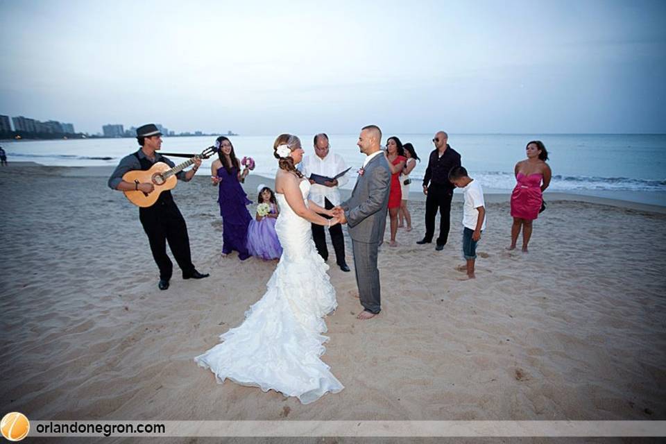 CD Weddings