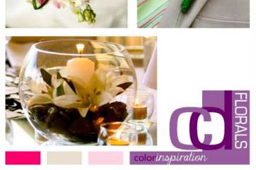 CD Weddings