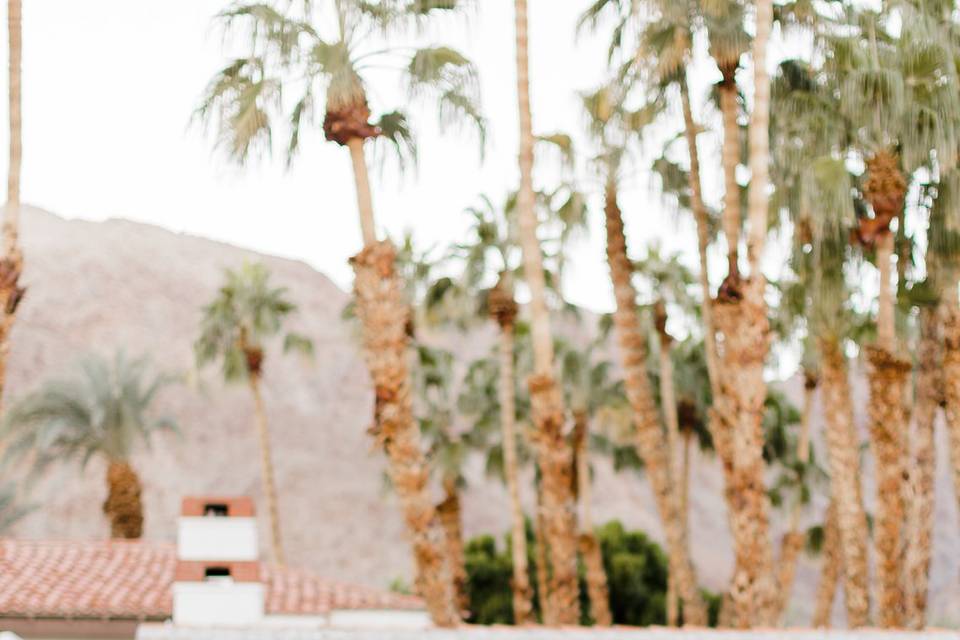 La Quinta Resort Bride and Gro