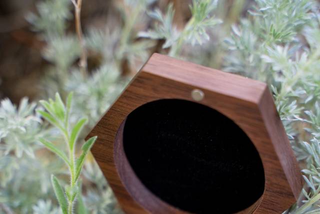 Wedding bands in sage brush